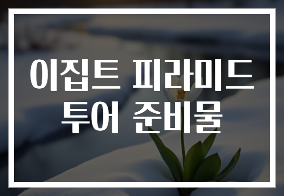 이집트 피라미드 투어 준비물