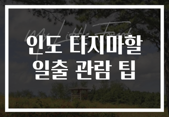 인도 타지마할 일출 관람 팁