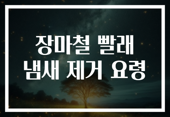 장마철 빨래 냄새 제거 요령