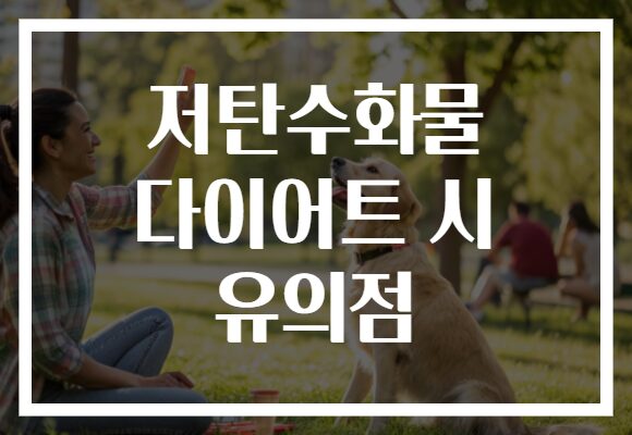 저탄수화물 다이어트 시 유의점