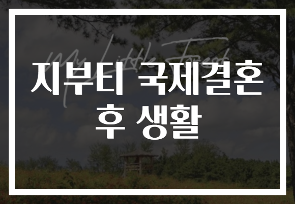 지부티 국제결혼 후 생활