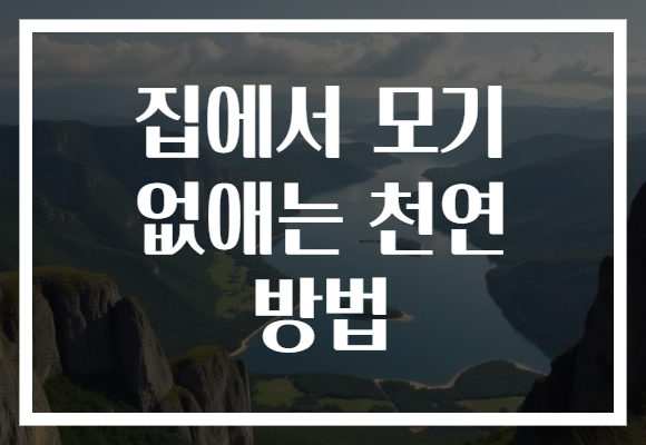 집에서 모기 없애는 천연 방법