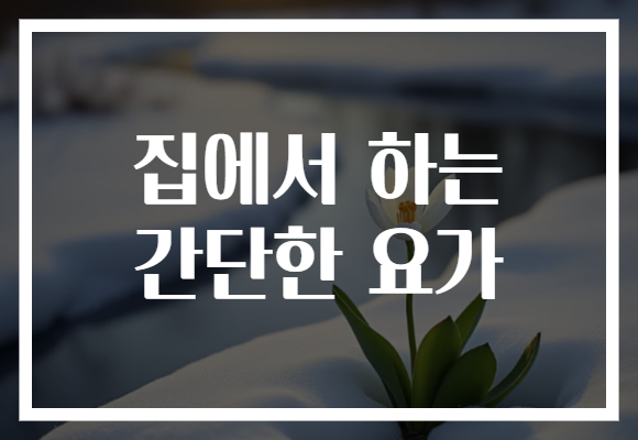 집에서 하는 간단한 요가