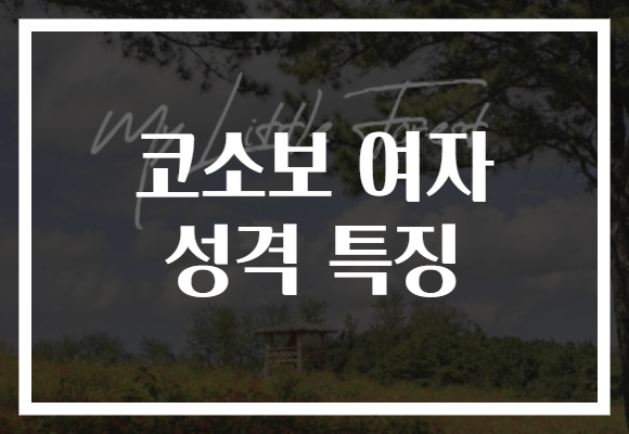 코소보 여자 성격 특징