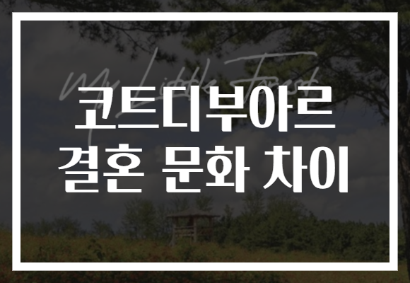 코트디부아르 결혼 문화 차이