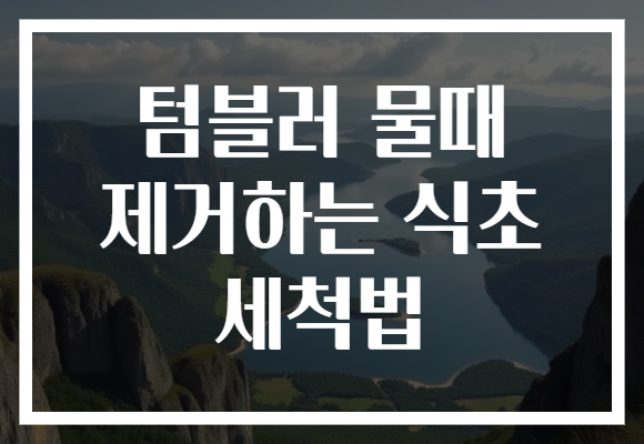 텀블러 물때 제거하는 식초 세척법