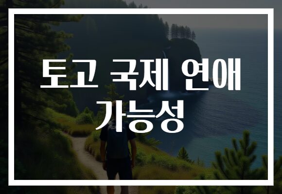 토고 국제 연애 가능성