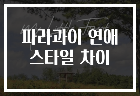 파라과이 연애 스타일 차이