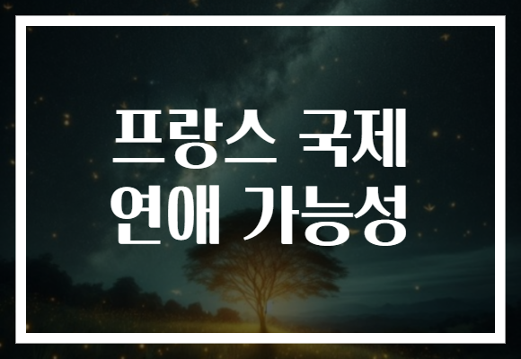 프랑스 국제 연애 가능성