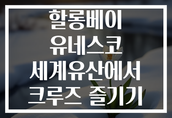할롱베이 유네스코 세계유산에서 크루즈 즐기기