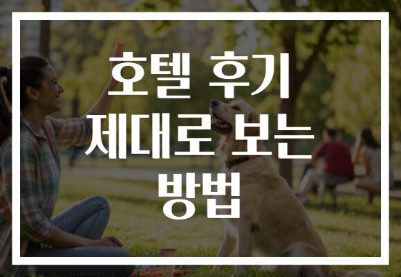 호텔 후기 제대로 보는 방법