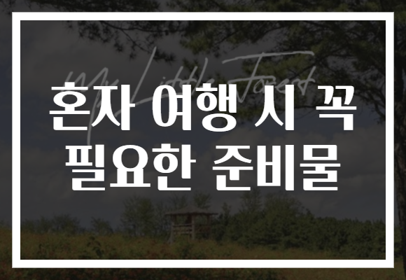 혼자 여행 시 꼭 필요한 준비물