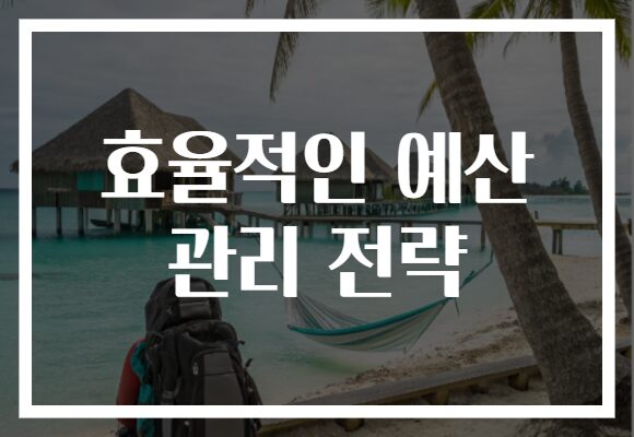 효율적인 예산 관리 전략