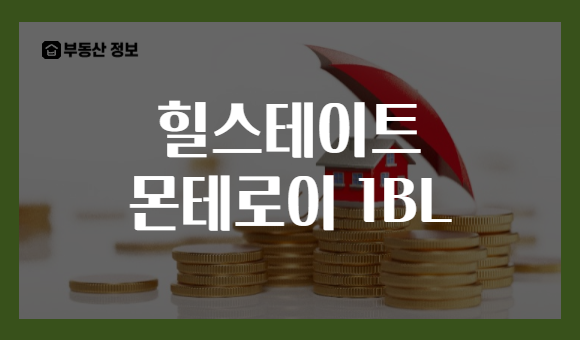 힐스테이트 몬테로이 1BL