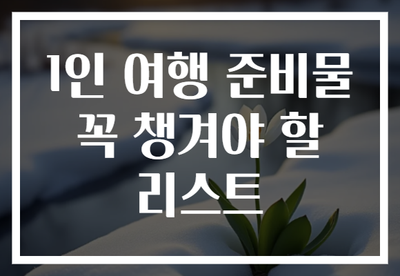 1인 여행 준비물 꼭 챙겨야 할 리스트