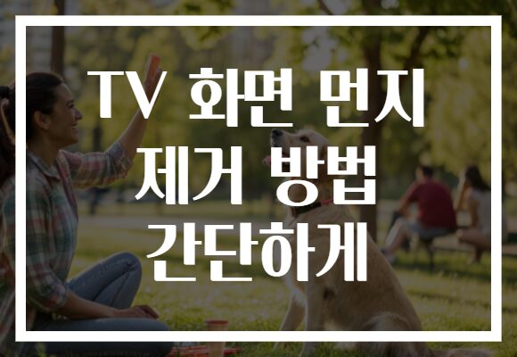 TV 화면 먼지 제거 방법 간단하게