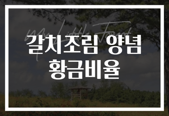 갈치조림 양념 황금비율