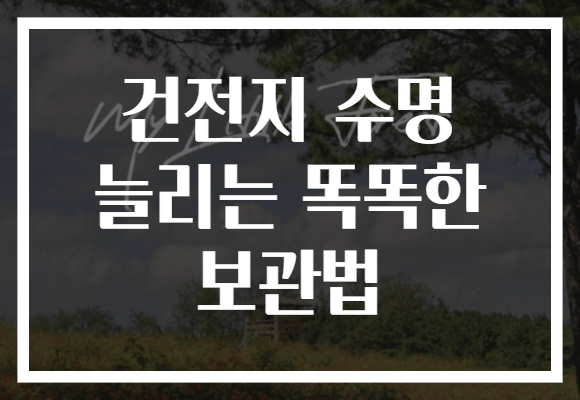 건전지 수명 늘리는 똑똑한 보관법