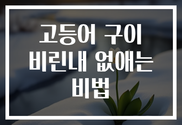 고등어 구이 비린내 없애는 비법