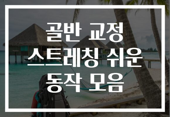 골반 교정 스트레칭 쉬운 동작 모음