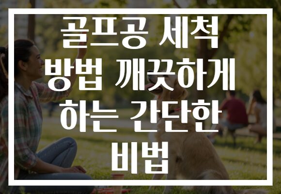 골프공 세척 방법 깨끗하게 하는 간단한 비법