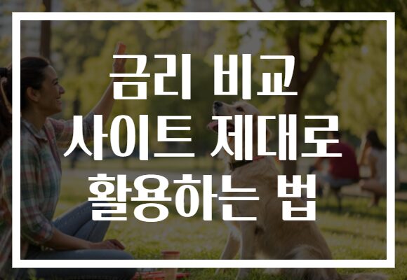 금리 비교 사이트 제대로 활용하는 법