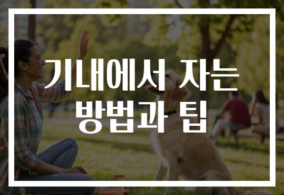 기내에서 자는 방법과 팁