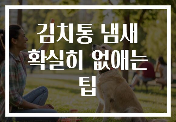 김치통 냄새 확실히 없애는 팁