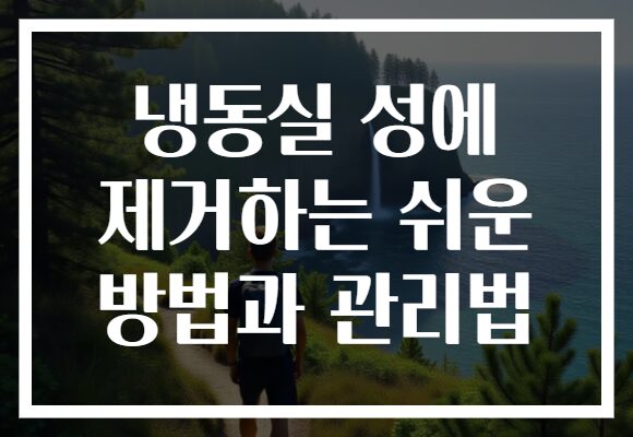 냉동실 성에 제거하는 쉬운 방법과 관리법