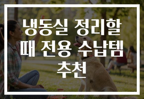 냉동실 정리할 때 전용 수납템 추천