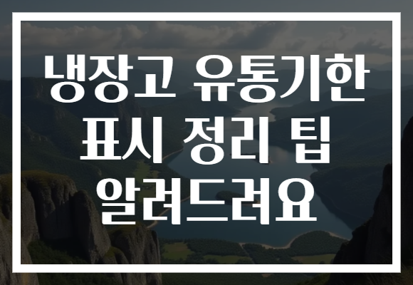 냉장고 유통기한 표시 정리 팁 알려드려요