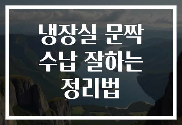 냉장실 문짝 수납 잘하는 정리법