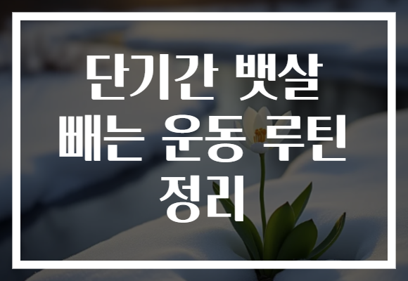 단기간 뱃살 빼는 운동 루틴 정리