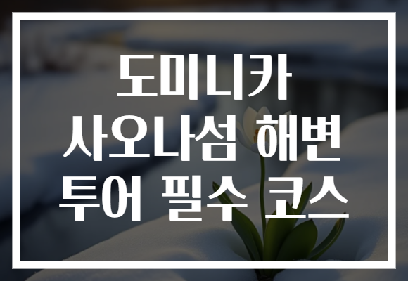 도미니카 사오나섬 해변 투어 필수 코스