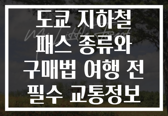 도쿄 지하철 패스 종류와 구매법 여행 전 필수 교통정보