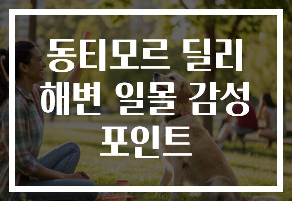 동티모르 딜리 해변 일몰 감성 포인트