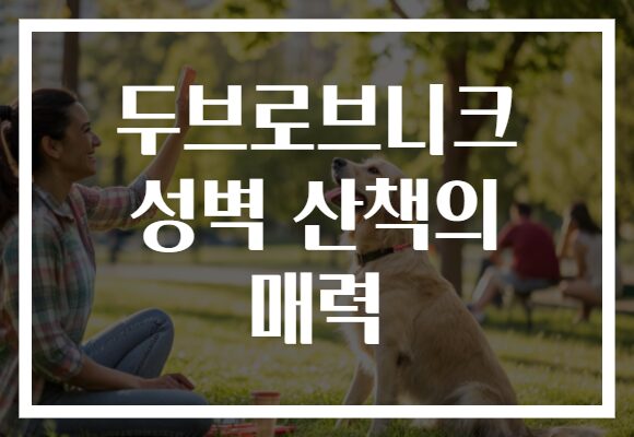 두브로브니크 성벽 산책의 매력