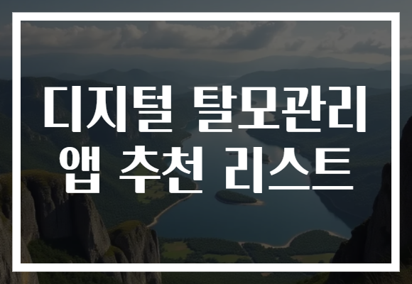 디지털 탈모관리 앱 추천 리스트