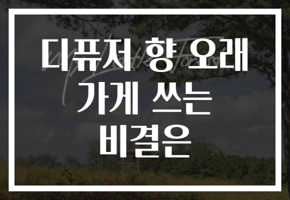 디퓨저 향 오래 가게 쓰는 비결은