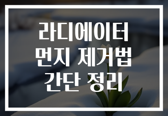 라디에이터 먼지 제거법 간단 정리