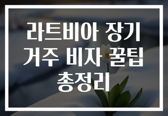라트비아 장기 거주 비자 꿀팁 총정리