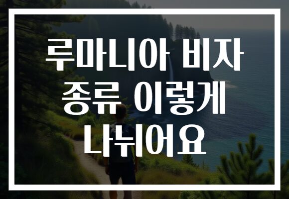 루마니아 비자 종류 이렇게 나뉘어요