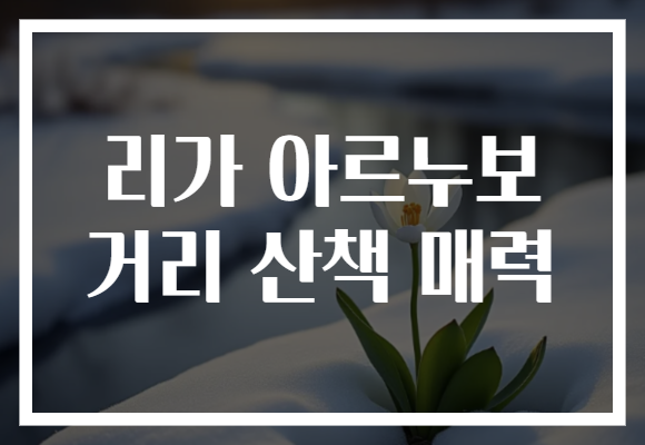 리가 아르누보 거리 산책 매력