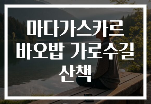 마다가스카르 바오밥 가로수길 산책