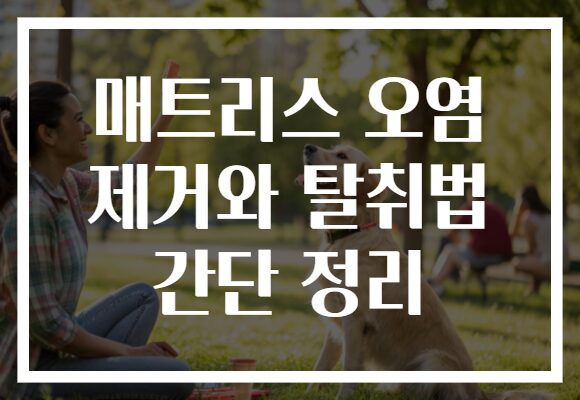 매트리스 오염 제거와 탈취법 간단 정리