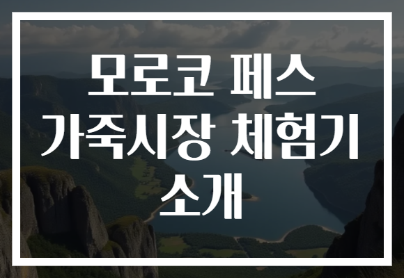 모로코 페스 가죽시장 체험기 소개