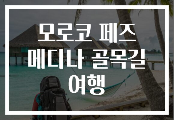 모로코 페즈 메디나 골목길 여행