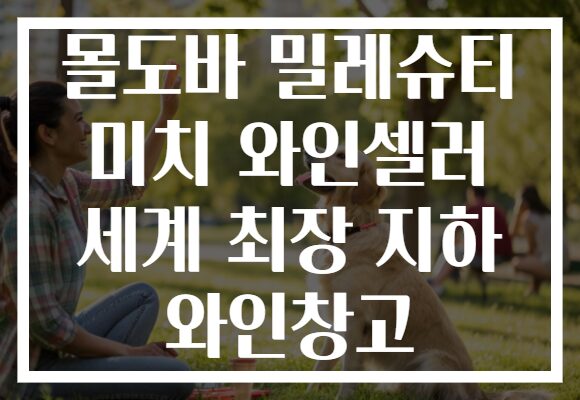 몰도바 밀레슈티 미치 와인셀러 세계 최장 지하 와인창고