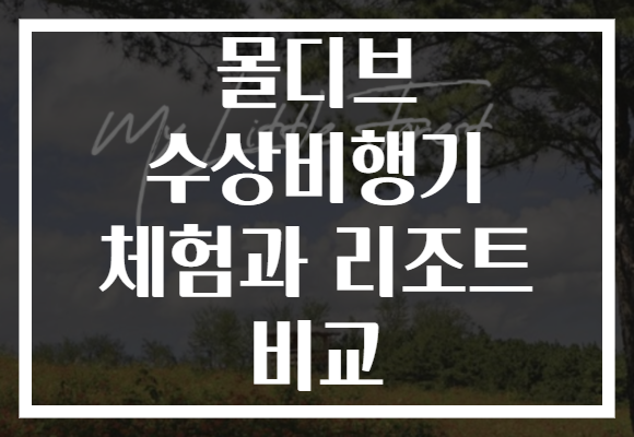 몰디브 수상비행기 체험과 리조트 비교
