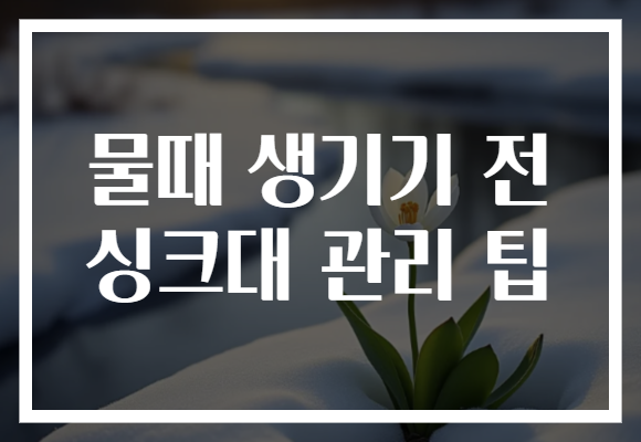 물때 생기기 전 싱크대 관리 팁